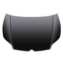 VAUNER 109073330 - CITROEN C5 05-*CAPOT