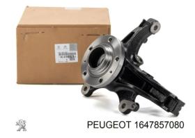 FAMILIA PEUGE 1647857080 - PIVOTE MANGUETA